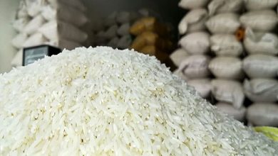 واردات برنج