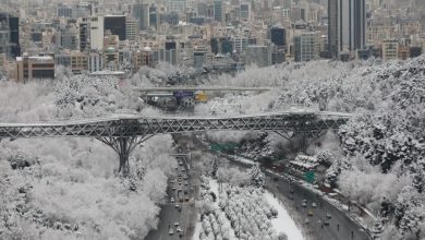 وزش باد شدید همراه با بارندگی در پایتخت