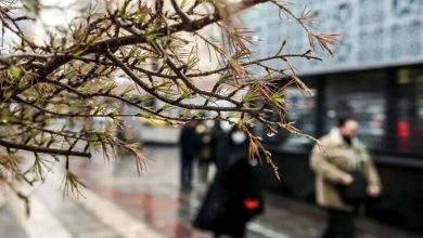 پایتخت با کاهش محسوس دما غافلگیر می‌شود