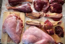 قیمت گوشت بوقلمون چند