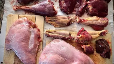 قیمت گوشت بوقلمون چند