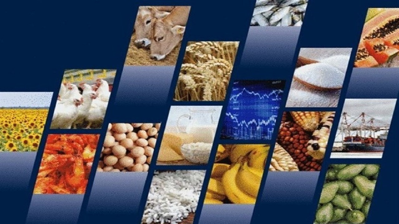 آغاز مرحله جدید توزیع ذخایر کالا‌های اساسی در استان تهران