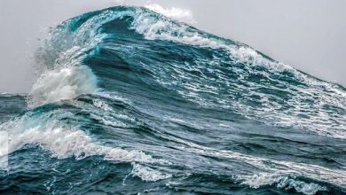 ارتفاع موج‌ دریا