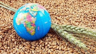 بحران غذایی