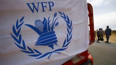 برنامه جهانی غذا