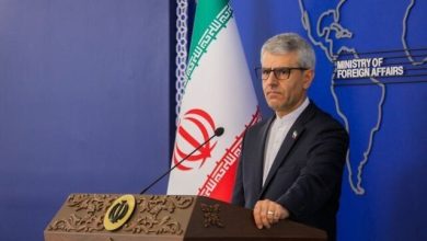 درخواست ایران از افغانستان و پاکستان برای کاهش تنش