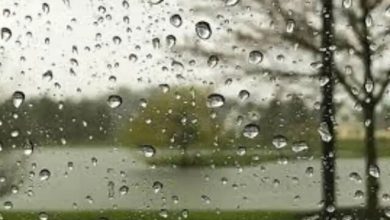 رگبار باران در تهران طی جمعه