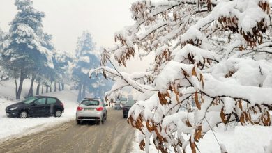 سازمان هواشناسی