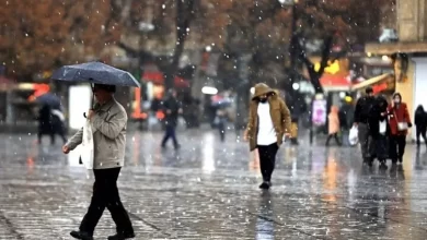 سازمان هواشناسی