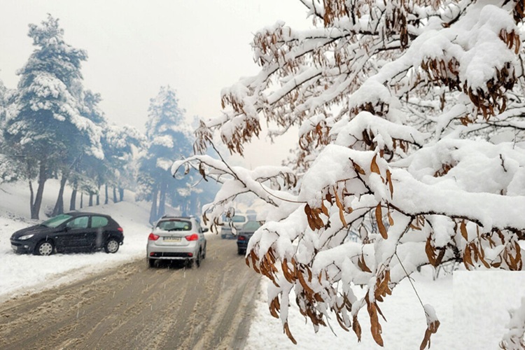 سازمان هواشناسی