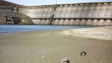 سازمان هواشناسی