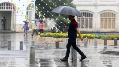 سازمان هواشناسی