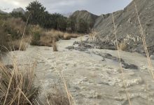 سیلاب