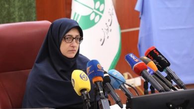 صدور مجوز محیط زیستی برای بیش از ۳۷۰۰ دستگاه خودرو وارداتی