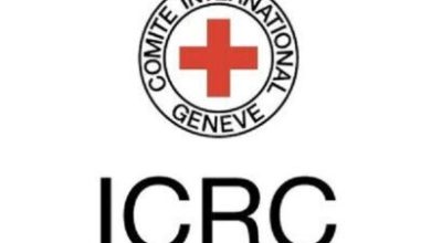صلیب‌سرخ : حمله به زیرساخت‌های حیاتی، جنگ علیه غیرنظامیان است