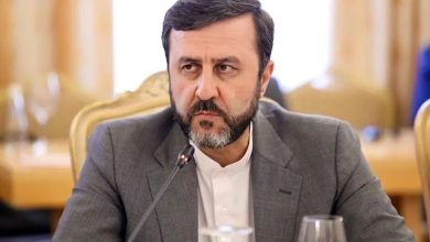 غریب‌آبادی: ایران هیچ اولویتی جز تداوم دفاع ندارد/ رد ادعاهای ویتکاف درباره مذاکرات ژنو