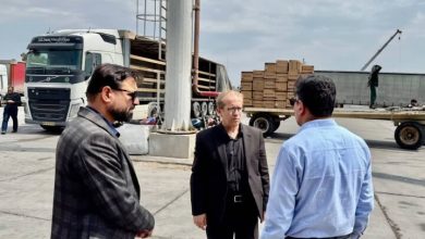 فرماندار دیر روند تخلیه و ترخیص کالا در اسکله بندر دیر مطلوب است