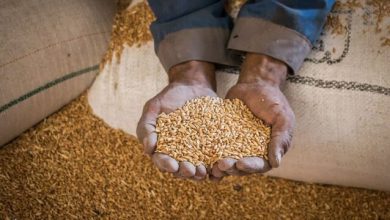 مبلغ فطریه امسال از سوی مراجع اعلام شد