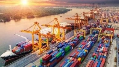 فعال بودن همه بنادر تجاری جنوب کشور/ صادرات و واردات در جریان است