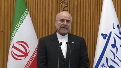 قالیباف: ذوالقدر در مسیر اعتلای ایران و مقابله با دژخیم می‌درخشد