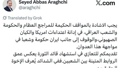 قدردانی عراقچی از دولت، ملت و مراجع عالیقدر عراق