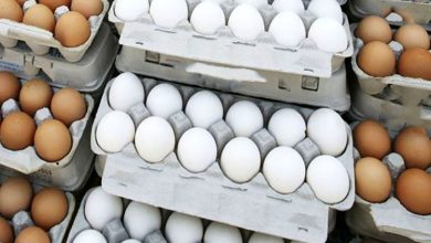 قیمت تخم‌مرغ