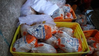 قیمت محصولات پروتئینی به قبل از جنگ بازگشت/ قیمت هرکیلو مرغ ۲۳۰ هزارتومان