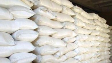 کشیک نوروزی کارخانجات آردسازی فعال می شود