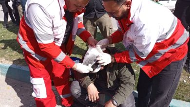 شناسایی علائم حیاتی و ارزیابی سطح هوشیاری در شرایط جنگی