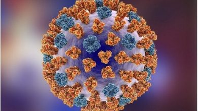 آخرین وضعیت آنفلونزا در کشور/ گردش سویه جدید کرونا در برخی از کشورها