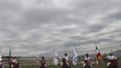 اسب امدادگر