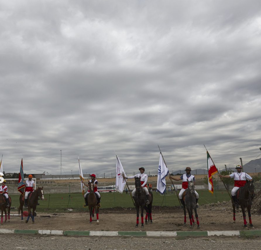 اسب امدادگر