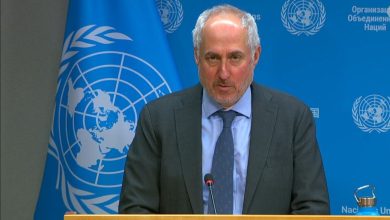 استفان دوجاریک