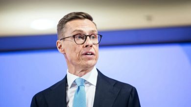 الکساندر استاب