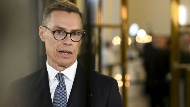 الکساندر استوب