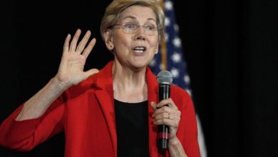 الیزابت وارن