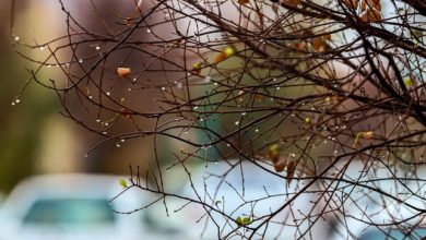 آغاز تغییرات گسترده جوی؛ افزایش ابر، بارش پراکنده و کاهش دما در کشور