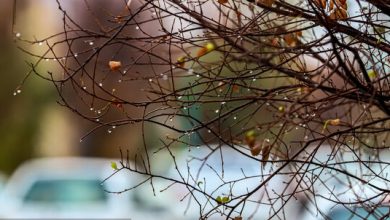 تشدید بارندگی در ۸ استان/ وزش باد شدید در ۱۷ استان