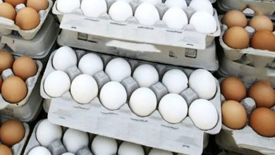 بازار تخم‌مرغ