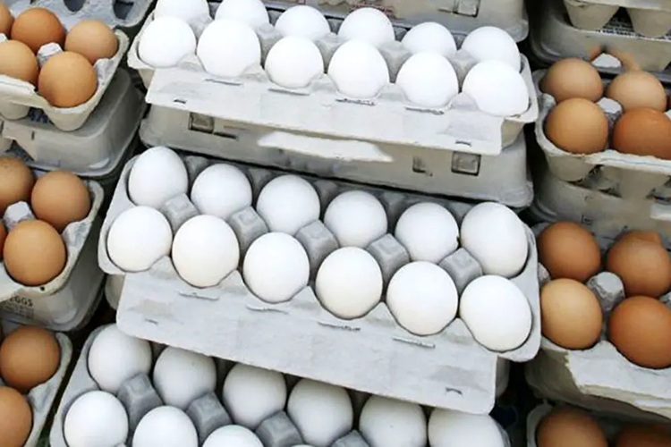 بازار تخم‌مرغ