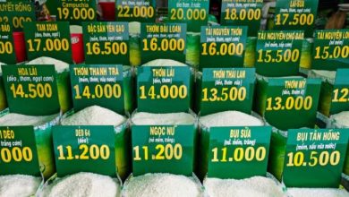 برنج در آسیا گران شد