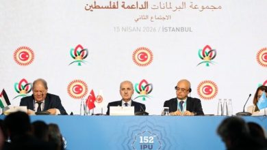 ترکیه خواستار تعلیق عضویت اسرائیل در سازمان ملل شد