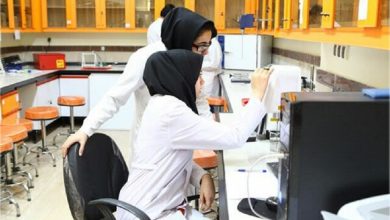 آغاز دوره‌های کارآموزی دانشجویان از هفته آینده