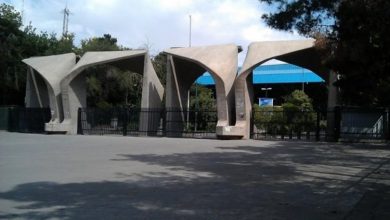 دانشگاه تهران