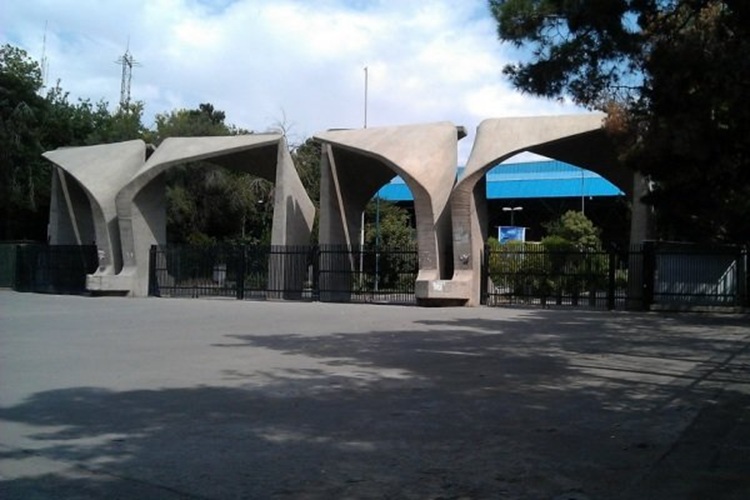 دانشگاه تهران