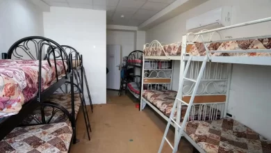 دانشگاه خوارزمی