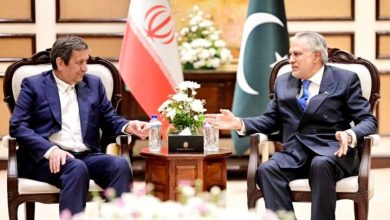 دیدار همتی با وزیر خارجه پاکستان