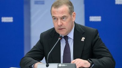 دیمیتری مدودف