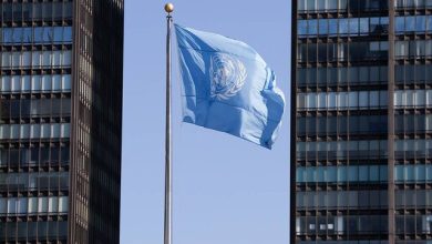 سازمان های بین المللی