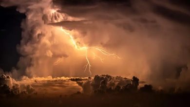 سازمان هواشناسی